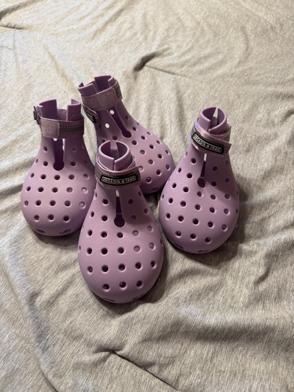 Arcadia Purple Dog Boots - Purple Protective Paw Covers (4 Pack)